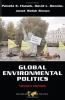Global_environmental_politics