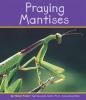 Praying_mantises