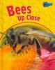 Bees_up_close