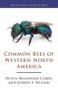 Common_bees_of_western_North_America