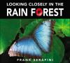 Looking_closely_in_the_rain_forest