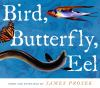 Bird__butterfly__eel