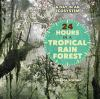 24_hours_in_a_tropical_rain_forest