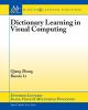 Dictionary_learning_in_visual_computing