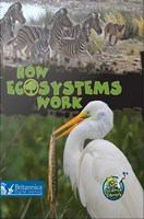 How_ecosystems_work