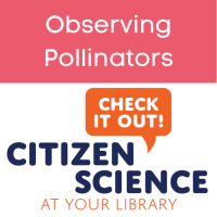Citizen_science_kit__Observing_pollinators