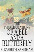 The_perambulations_of_a_bee_and_a_butterfly